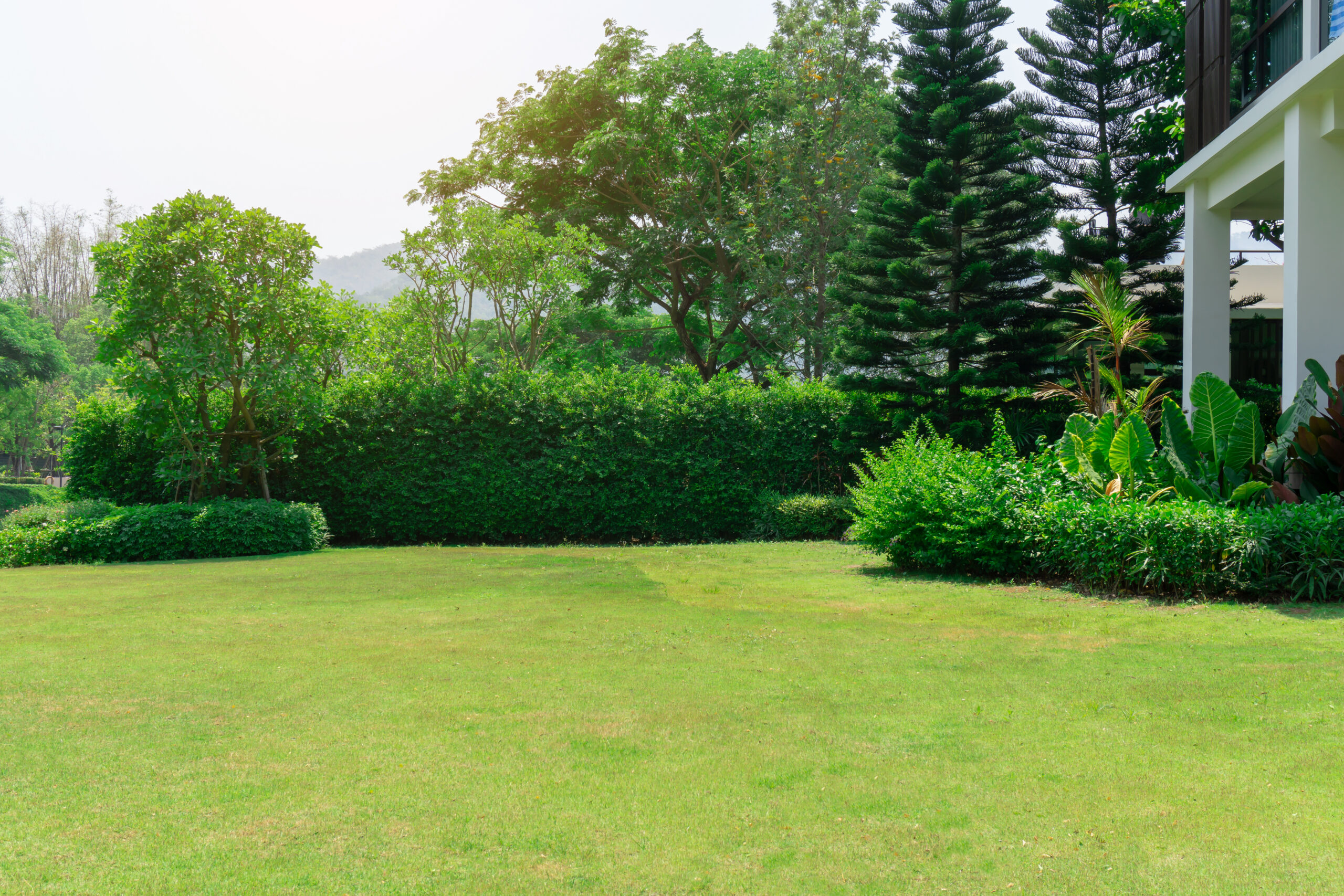 Garten- & Außenanlagenpflege